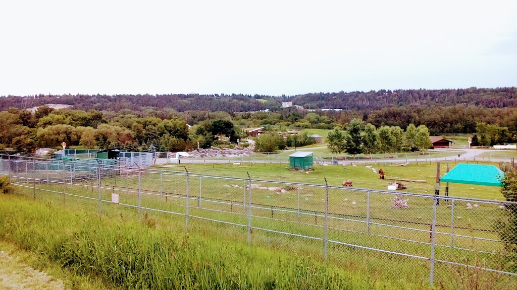 Edmonton Valley Zoo | 13315 Buena Vista Road & 87th Avenue, Edmonton, AB T5J 2R7, Canada | Phone: (780) 442-5311