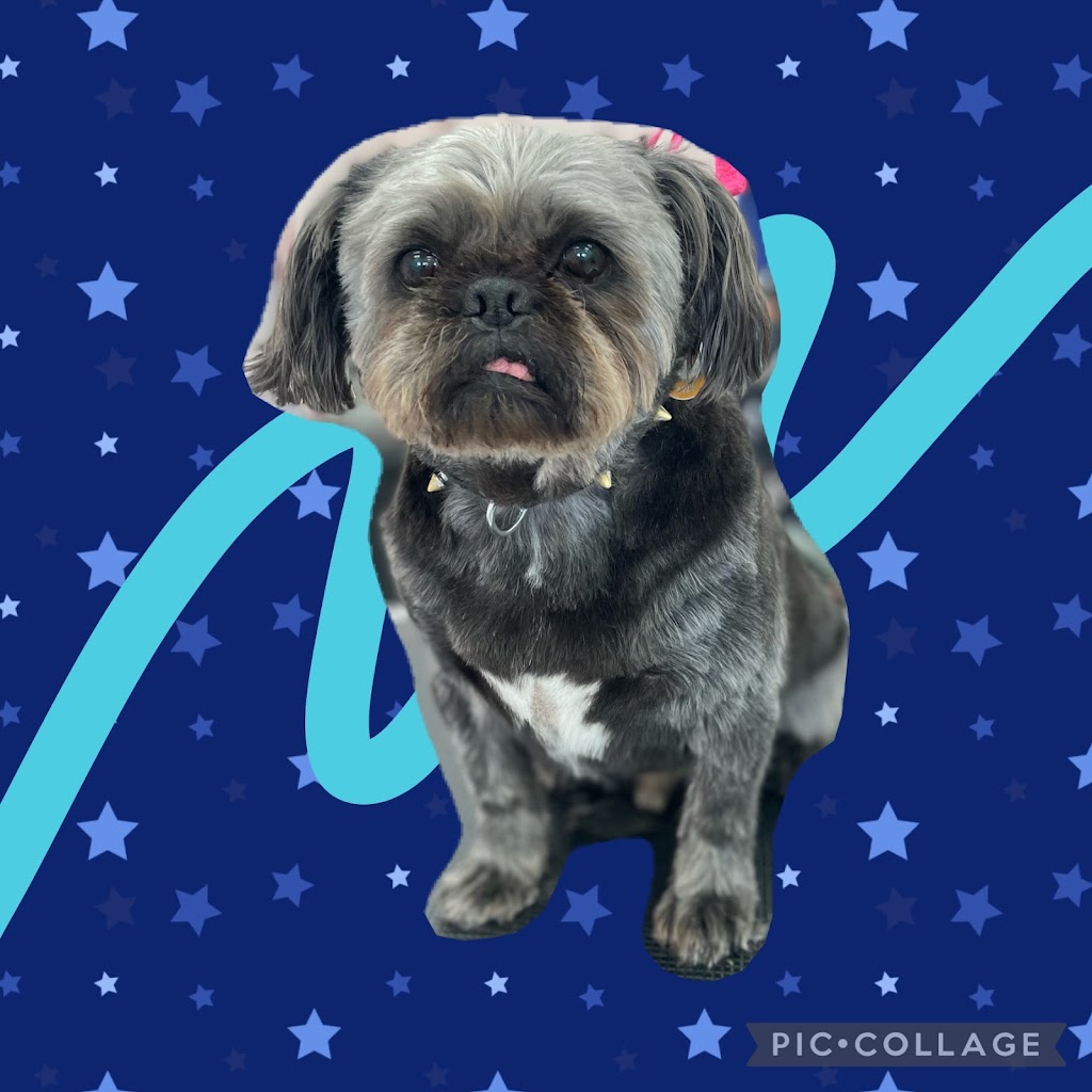 On Dog Dog Pet Grooming | 555 Rossland Rd E, Oshawa, ON L1K 1K8, Canada | Phone: (905) 576-8918