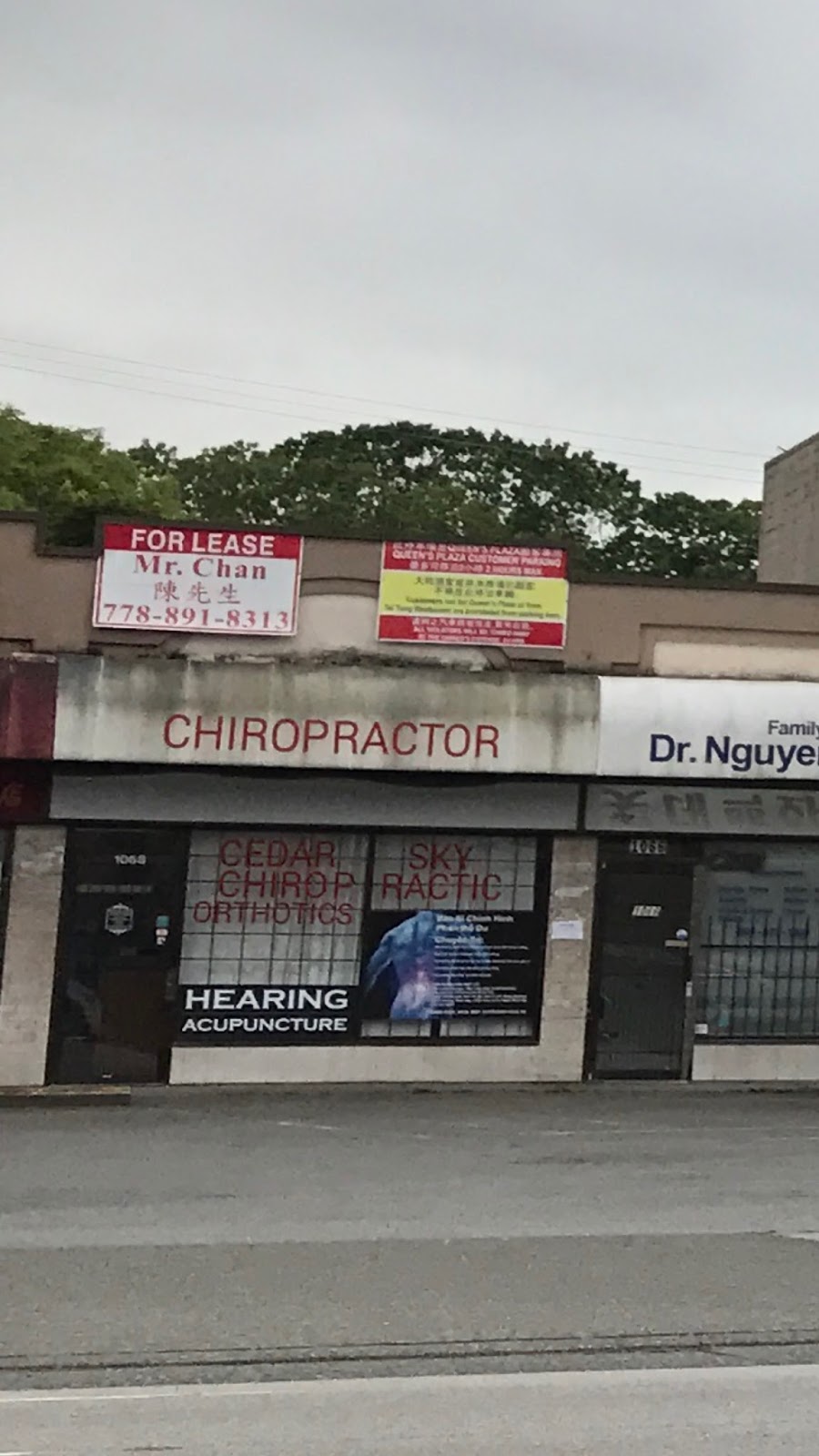 Cedar Sky Wellness Centre | 1068 Kingsway, Vancouver, BC V5V 3C6, Canada | Phone: (604) 876-1778