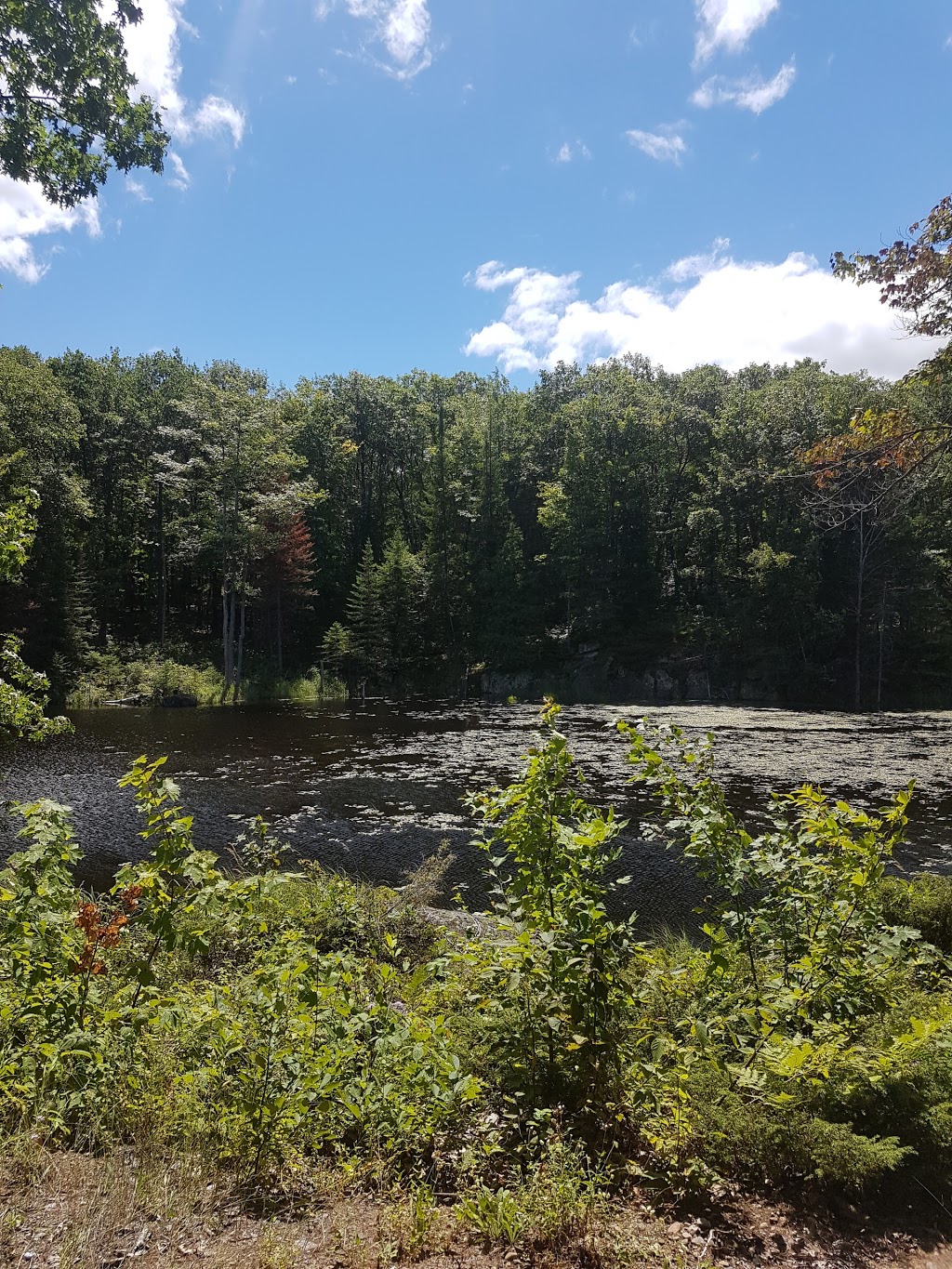 Elements luxury tented camp | 793 Storyland Rd, Renfrew, ON K7V 3Z8, Canada | Phone: (613) 432-8000