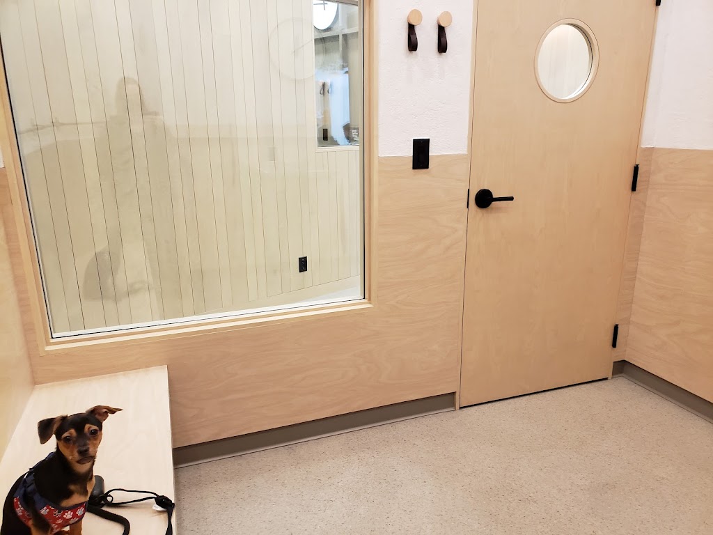 Fen Vet | 2880 Main St SE #1001, Airdrie, AB T4B 3G4, Canada | Phone: (587) 602-4442