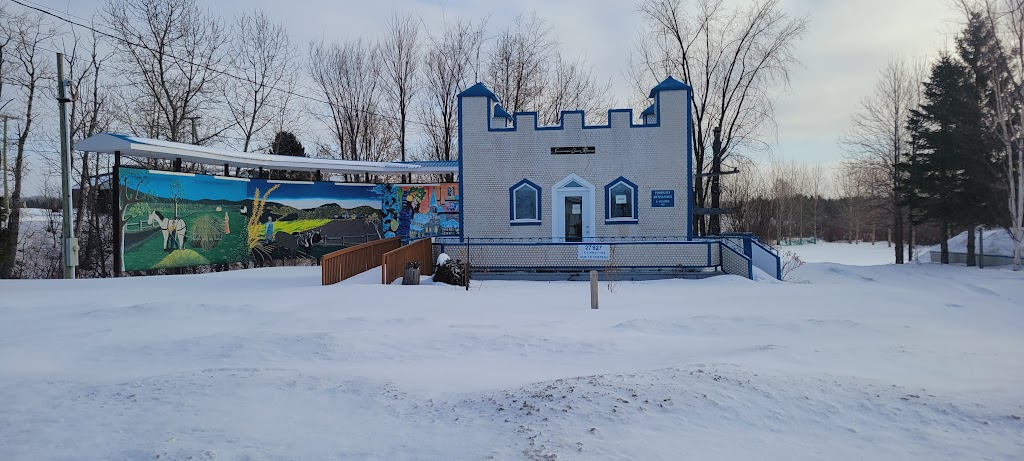 Chanel Rousseau Site - Soda Can House | 123 Rue Principale N, Saint-Jean-de-Dieu, QC G0L 3M0, Canada | Phone: (418) 963-3529