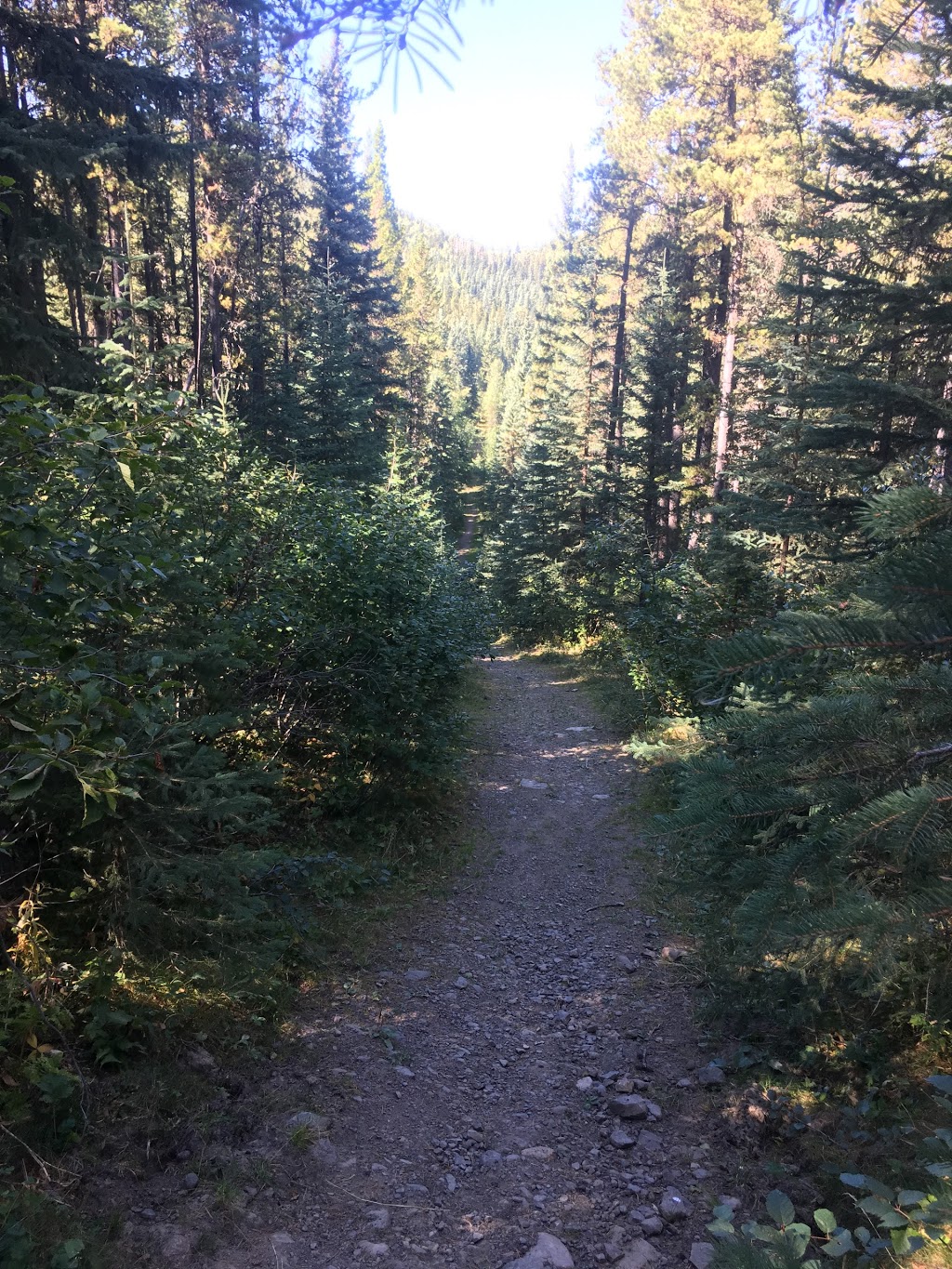 Diamond T Loop | Kananaskis, AB T0L 0K0, Canada