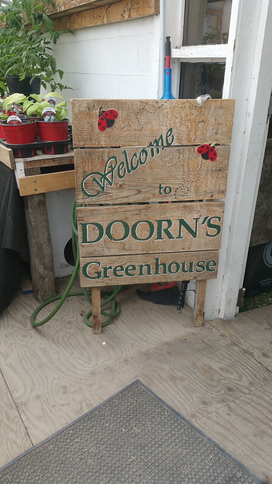 Doorns Greenhouse | NE-1-16-20 W2 (8km South of Regina on Highway RR3, Regina, SK S4P 2Z3, Canada | Phone: (306) 586-5791