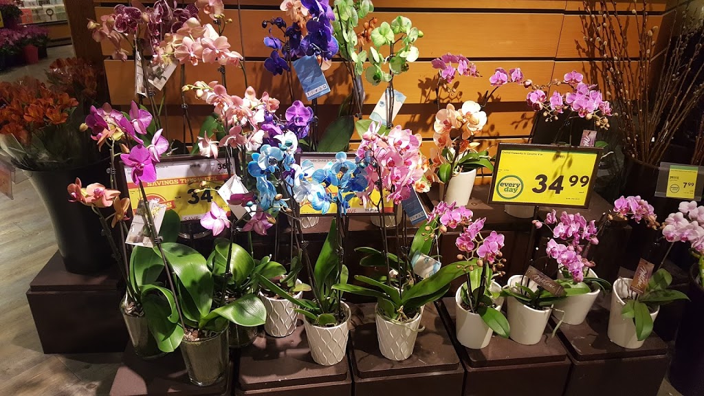 Safeway Sunshine Hills | 6401 120 St, Delta, BC V4E 3G3, Canada | Phone: (604) 596-4885