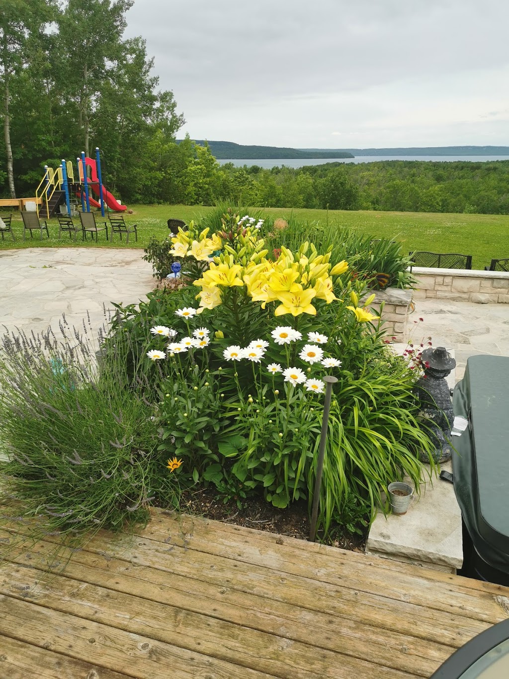 COZY CATS BED & BREAKFAST | Sydney Bay Rd, Ontario N0H 1X0, Canada | Phone: (519) 534-2273