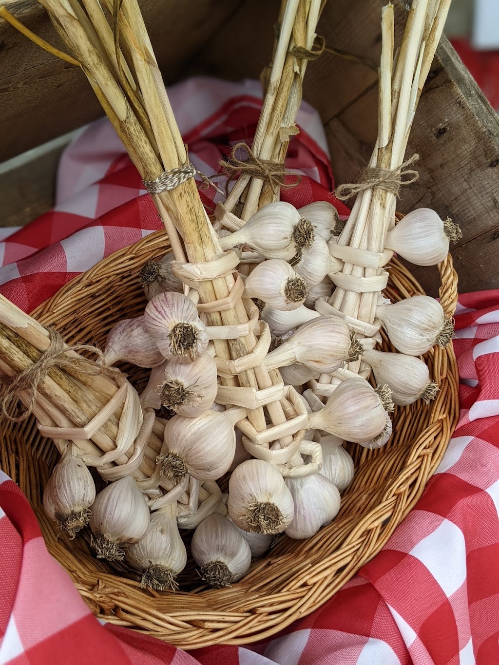 Elderberry Hollow | 1400 Ovens Rd, Newtonville, ON L0A 1J0, Canada | Phone: (905) 391-7478