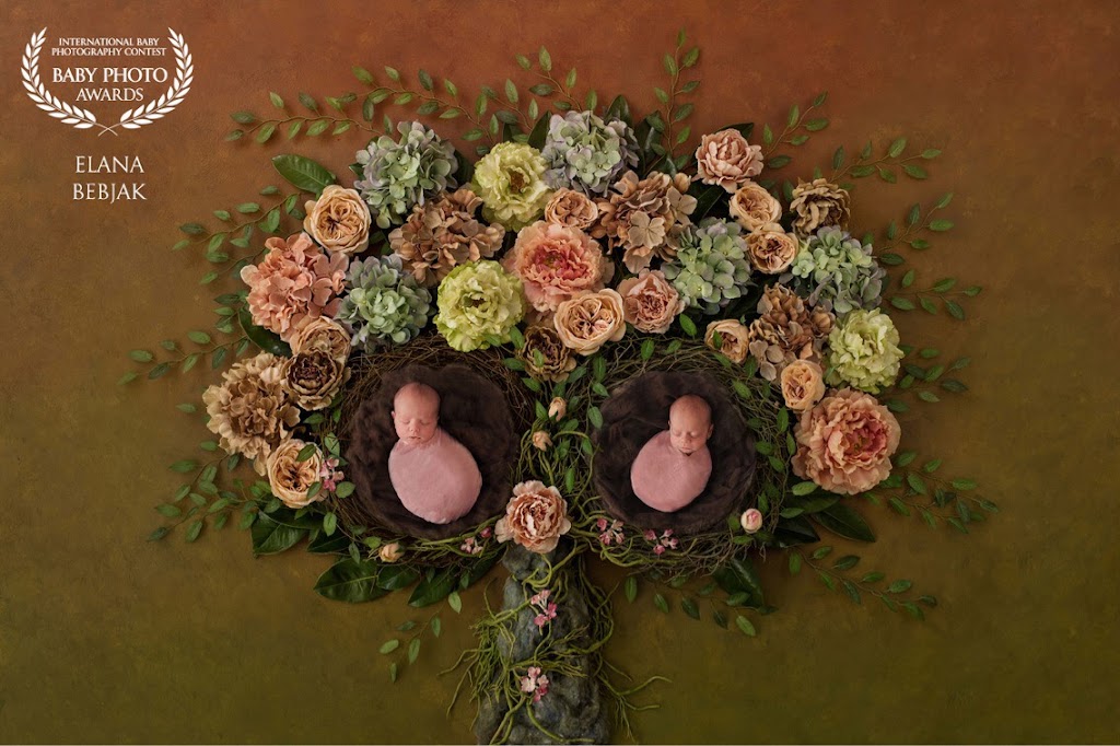 Elana Bebjak Photography | 113 Lynden Rd, Lynden, ON L0R 1T0, Canada | Phone: (289) 700-4500
