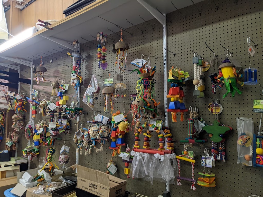 Bird Shop & Aquariums | 1034 Main St, Winnipeg, MB R2W 3R1, Canada | Phone: (204) 582-1370