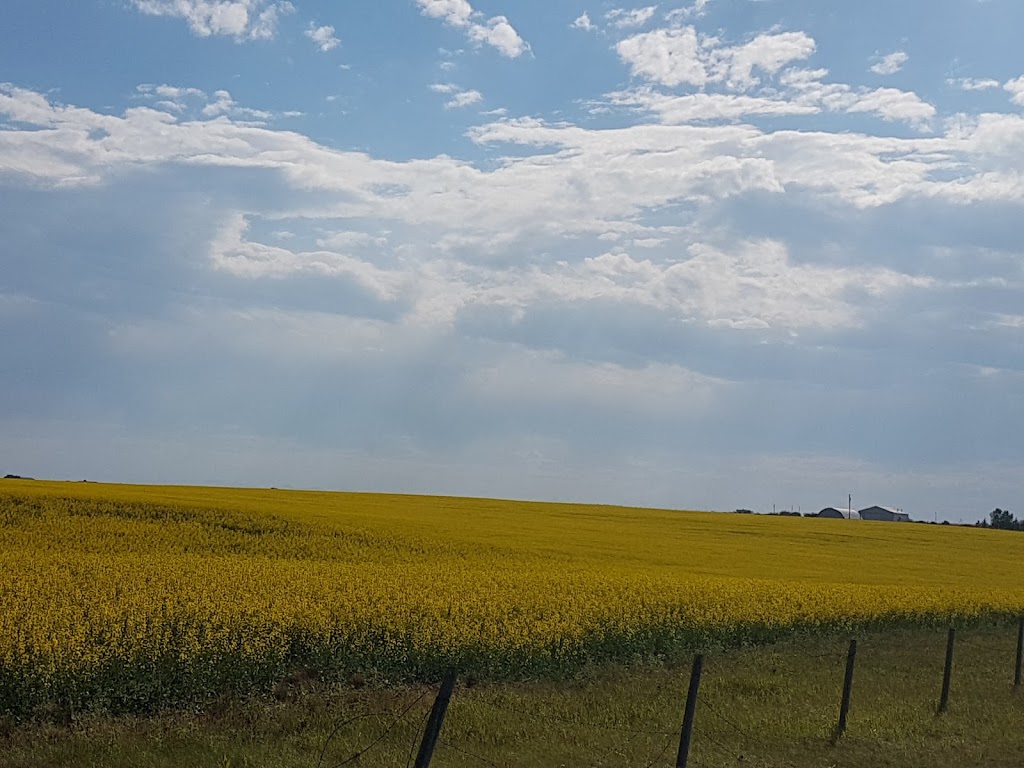 City View Auto | Range Rd 13, Balzac, AB T0M 0E0, Canada | Phone: (403) 226-3997