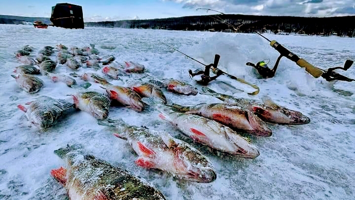 Centre de pêche sur glace Les Jiggeux | 3180 A Rue Principale, Saint-Ferdinand, QC G0N 1N0, Canada | Phone: (819) 621-5132