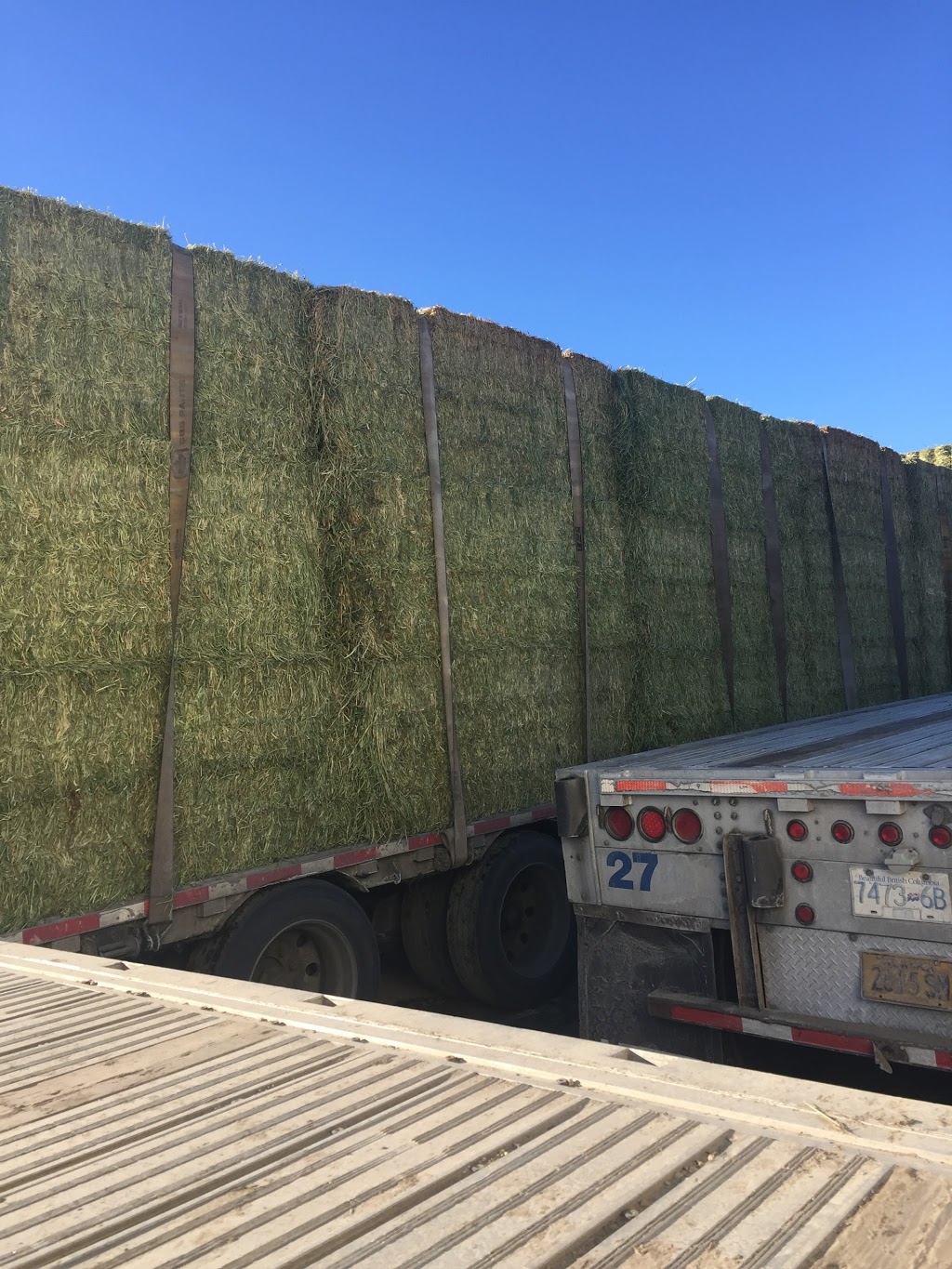 Vesper Transport Ltd | 2064 Main St, Cawston, BC V0X 1C1, Canada | Phone: (250) 499-5773