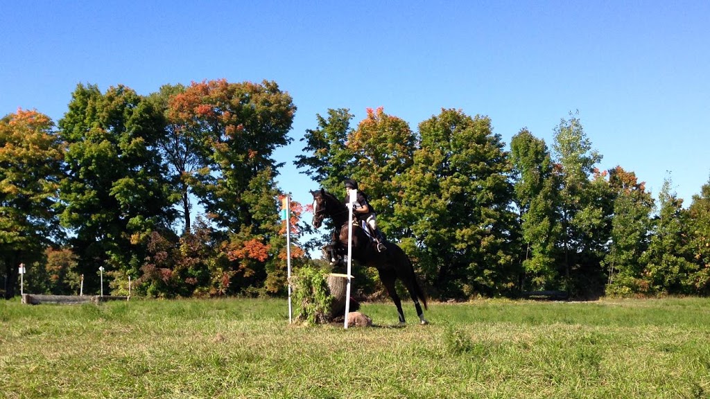 Glen Oro Farm | 2574 10 Line N, Hawkestone, ON L0L 1T0, Canada | Phone: (705) 326-7244