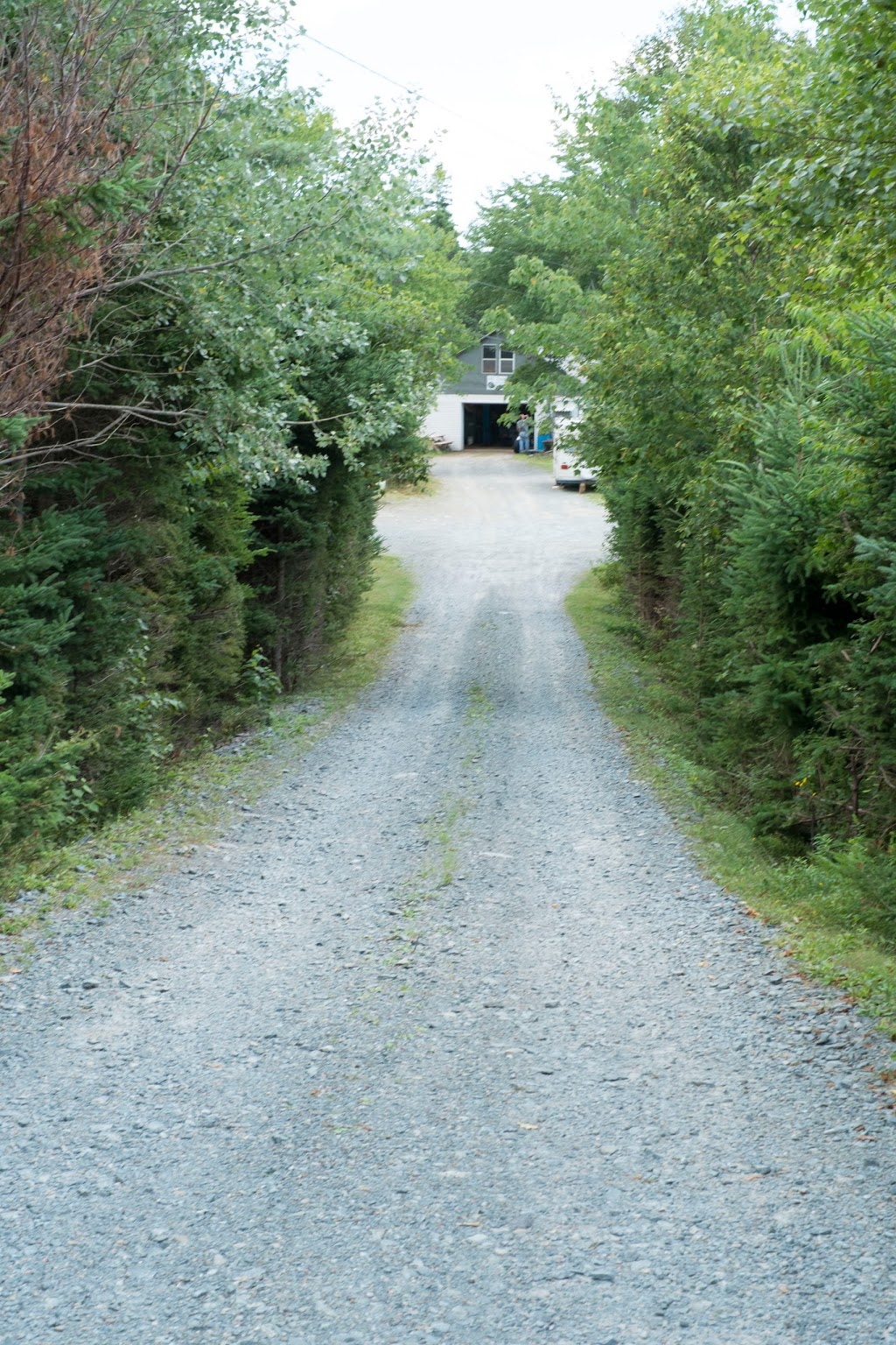 MJ Tires | 5872 Highway 7, Head of Chezzetcook, NS B0J 1N0, Canada | Phone: (902) 827-2888