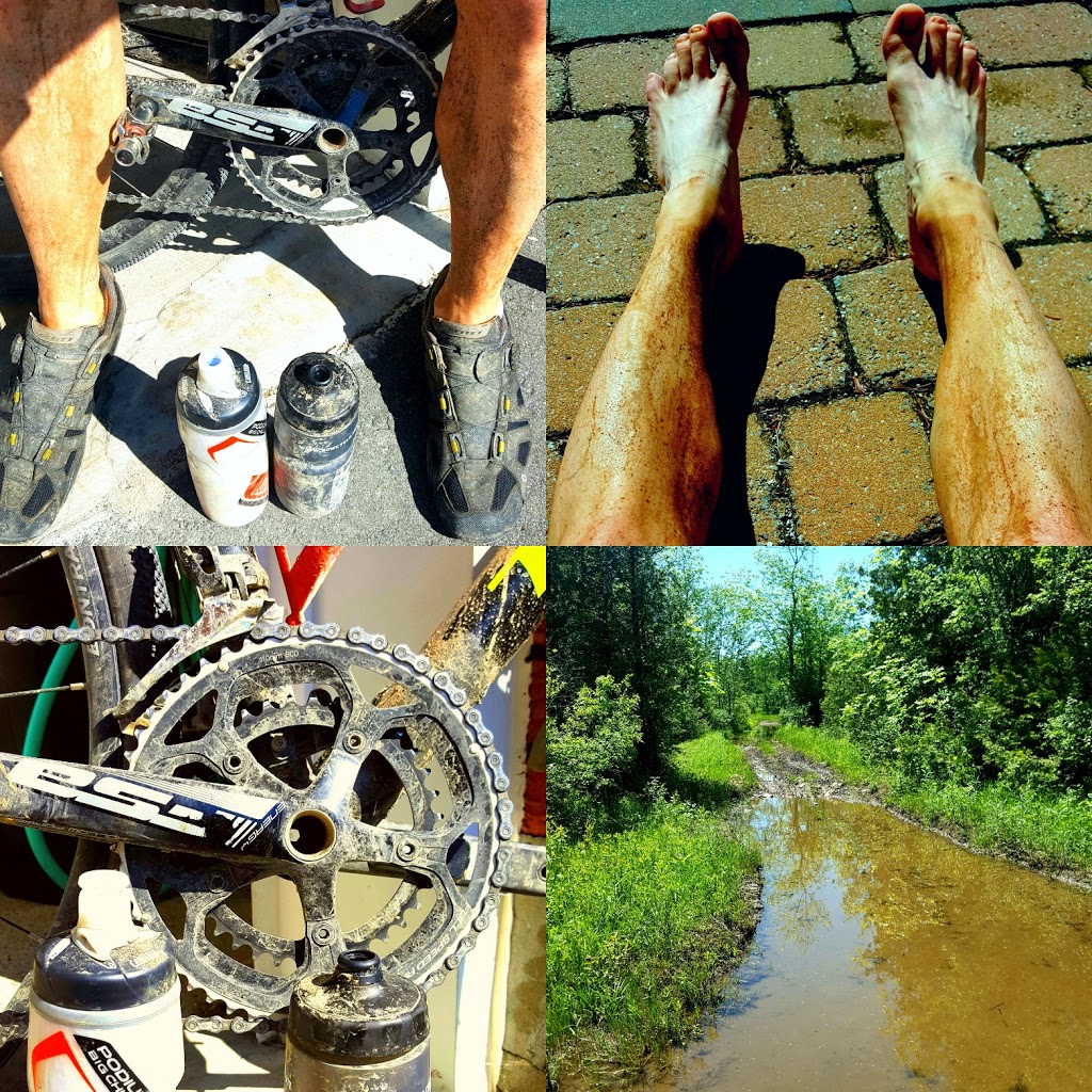 Marlborough Forest Parking | 3859 Roger Stevens Dr, Smiths Falls, ON K7A 4S6, Canada