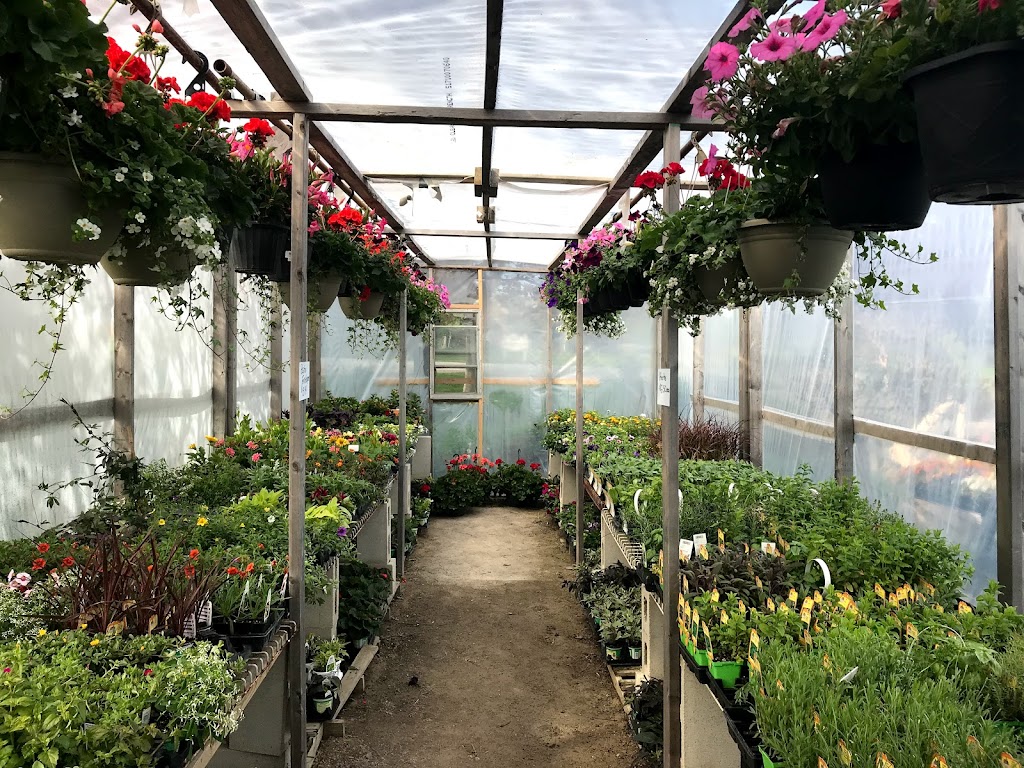 Smeltzers Garden Centre | 3163 Concession Rd 2, Ripley, ON N0G 2R0, Canada | Phone: (519) 395-5206