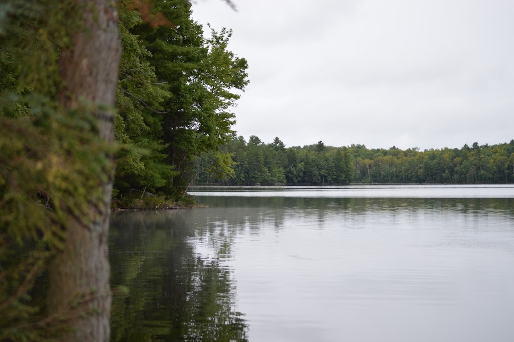 Sacred Trees | 322 Ridge Rd, Deseronto, ON K0K 1X0, Canada | Phone: (613) 396-1873