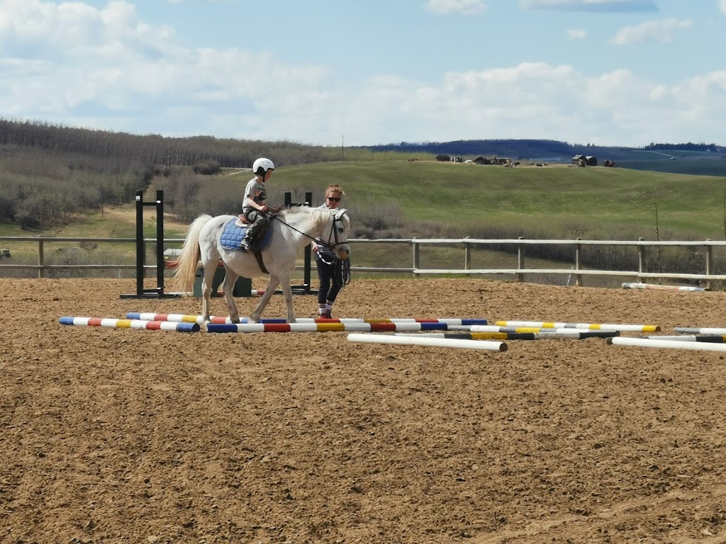 Ironstone Farms | 274117 112 St W, Alberta T1S 0W5, Canada | Phone: (403) 703-4219