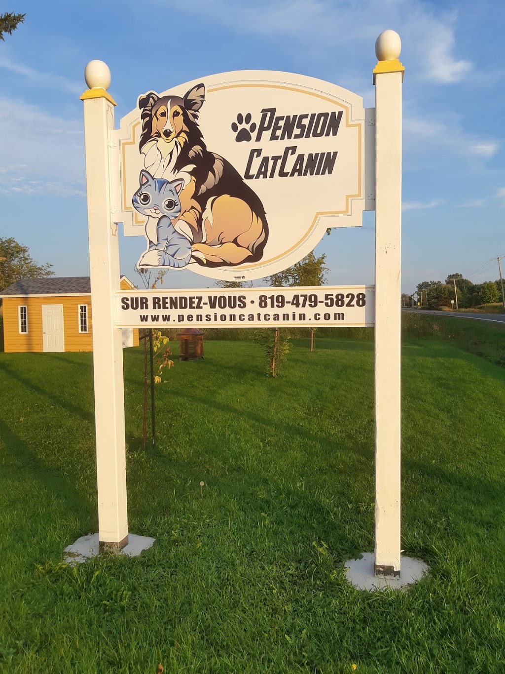 Pension CatCanin | 1950 Boulevard Lemire O, Saint-Majorique, QC J2B 8A9, Canada | Phone: (819) 479-5828