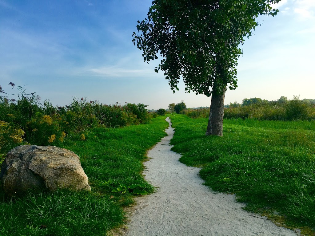 St. Johns Marsh Wildlife Area | Clay Township, MI 48001, USA
