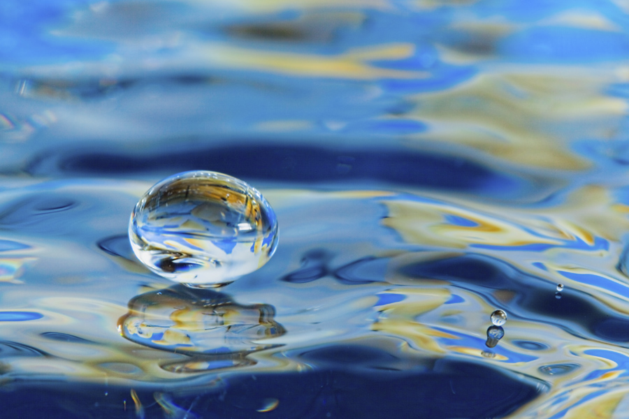 Snaps Drops Inc. Water Drop Photography | 110 Smiths Point Rd, East Quoddy, NS B0J 2R0, Canada | Phone: (902) 654-2736