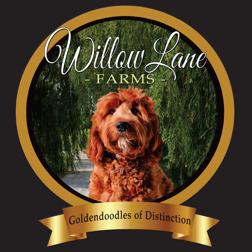 Willow Lane Farms | Brookview Rd, Lindsay, ON K9V 4R5, Canada | Phone: (705) 324-6698