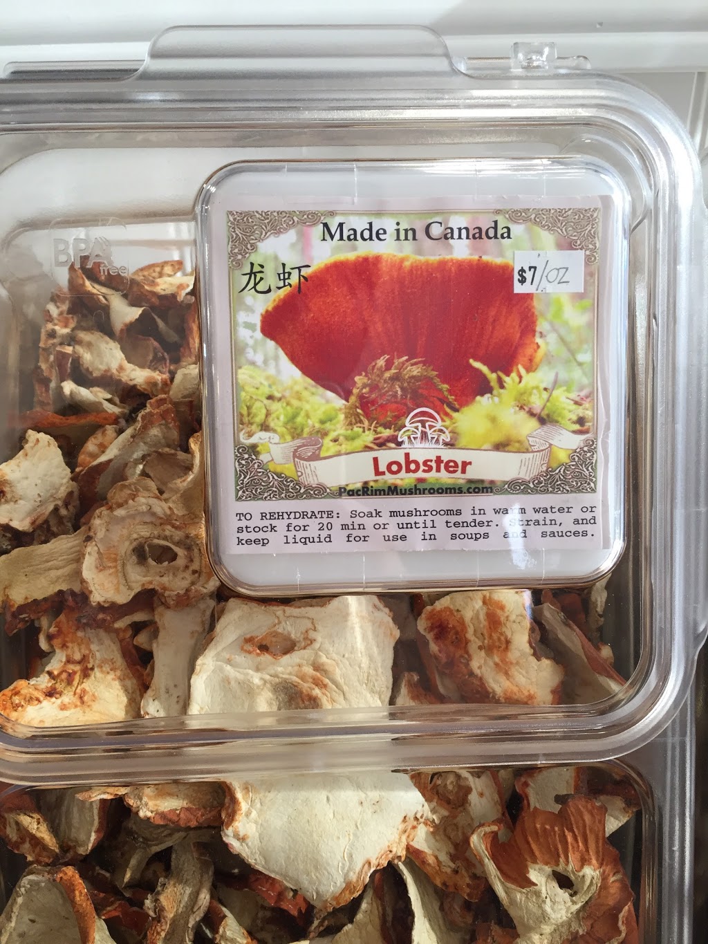The Magical Mushroom Hub | 879 Walker Rd, Windsor, ON N8Y 2N4, Canada | Phone: (519) 890-1714