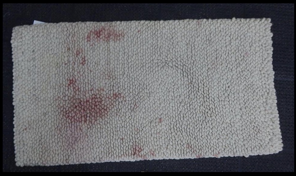 Peacock Rug Care | 1122 Trent St, Ottawa, ON K1Z 8J4, Canada | Phone: (613) 232-5110