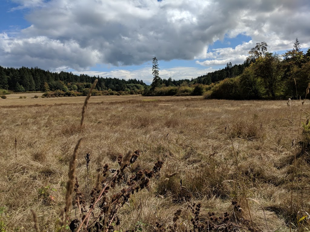 Burgoyne Bay Provincial Park | Burgoyne Bay Rd, Salt Spring Island, BC V8K 2A6, Canada | Phone: (250) 539-2115