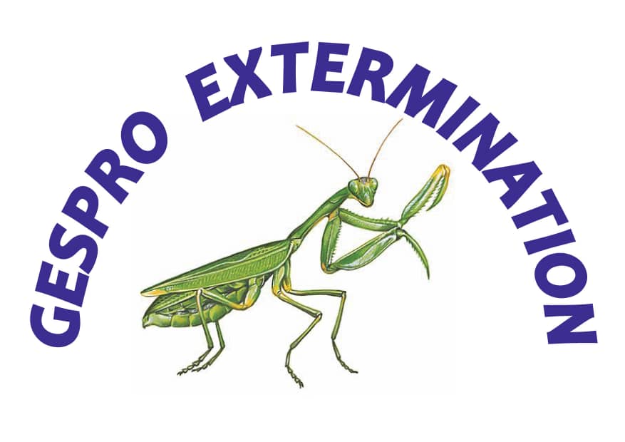 GESPRO EXTERMINATION | 2057 Avenue Étienne Brûlé, Montréal, QC H2B 1Z1, Canada | Phone: (514) 248-3590