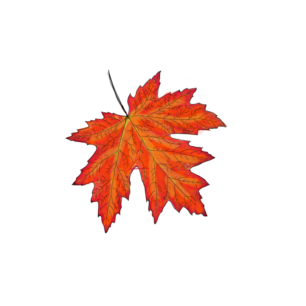 Maple Ridge Plastics Inc. | 318401 8 Line NE, Melancthon, ON L9V 2K3, Canada | Phone: (519) 923-5512