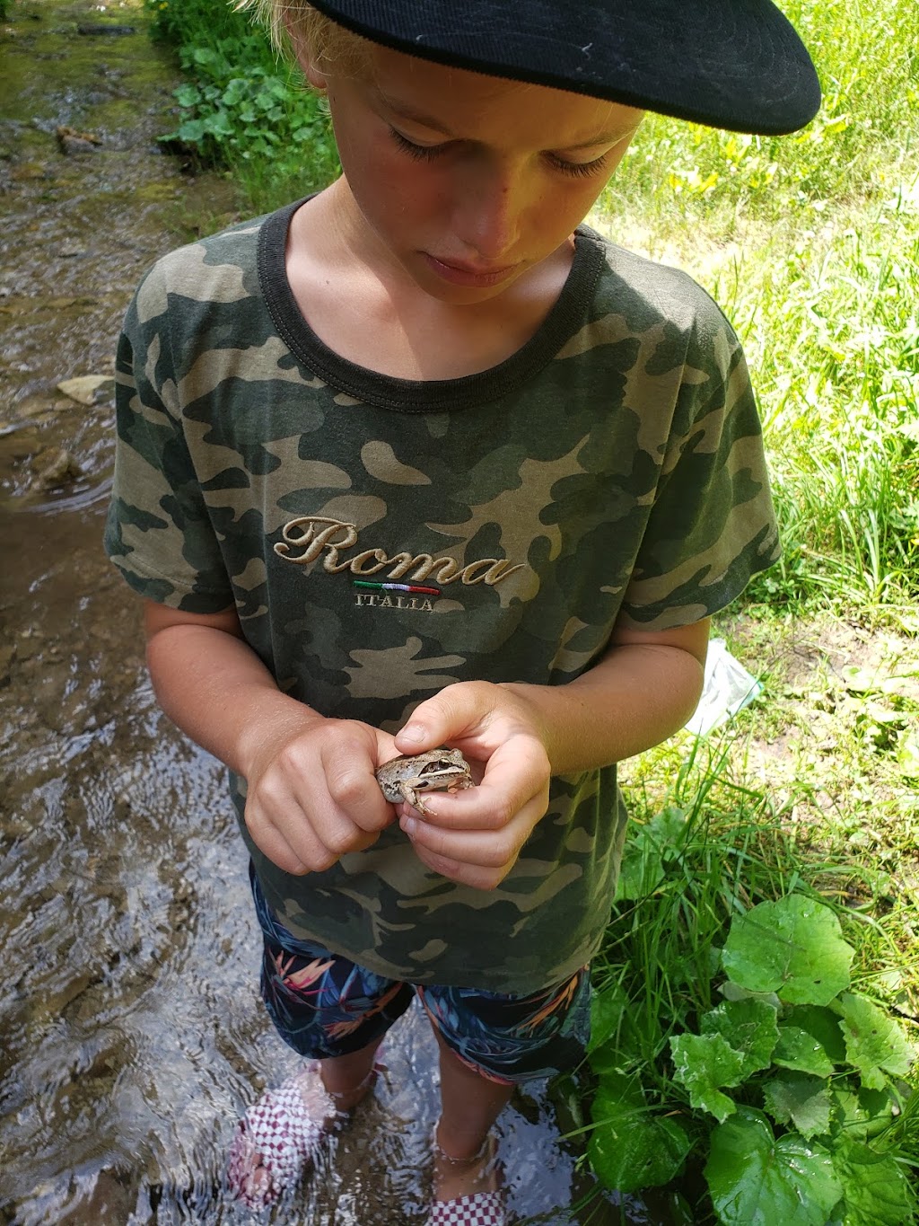 The Wildlings Camp | 31362 3 Line, Kimberley, ON N0H 1N0, Canada | Phone: (519) 599-6655