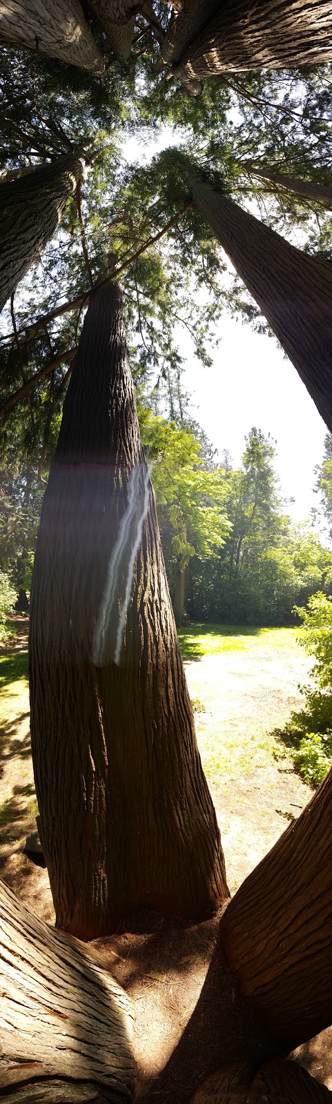 Lillian Hoffar Park | 10563 McDonald Park Rd, North Saanich, BC V8L 3J2, Canada