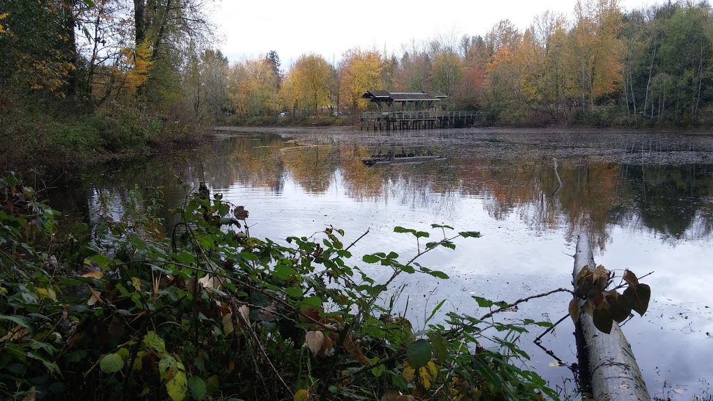 Fishtrap Creek Park | 31480 Maclure Rd, Abbotsford, BC V2T 5G6, Canada | Phone: (604) 853-2281