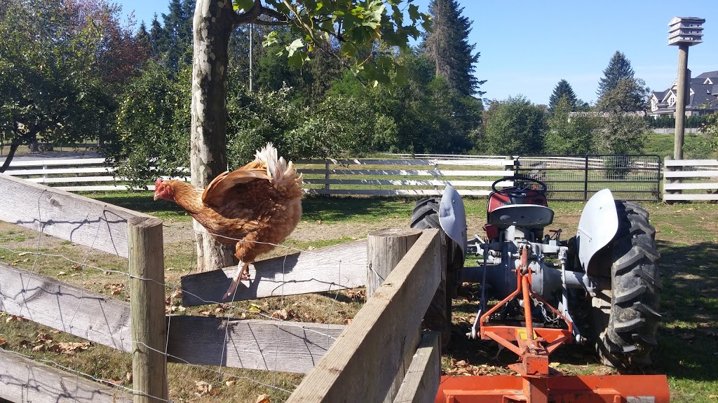 Mt. Lehman Community Association | 6418 Mount Lehman Rd, Abbotsford, BC V4X 2G5, Canada | Phone: (604) 866-4530