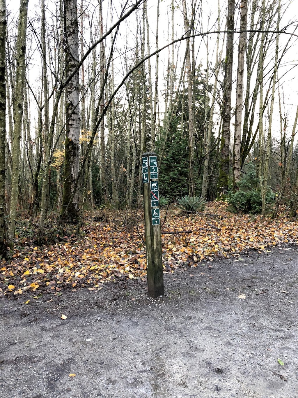 Camosun Trail | 33, Vancouver, BC V6R 3E3, Canada