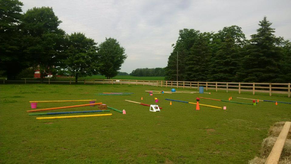 Leading Edge Equine Academy | 515588 11 Line, Woodstock, ON N4S 7V7, Canada | Phone: (226) 749-4830