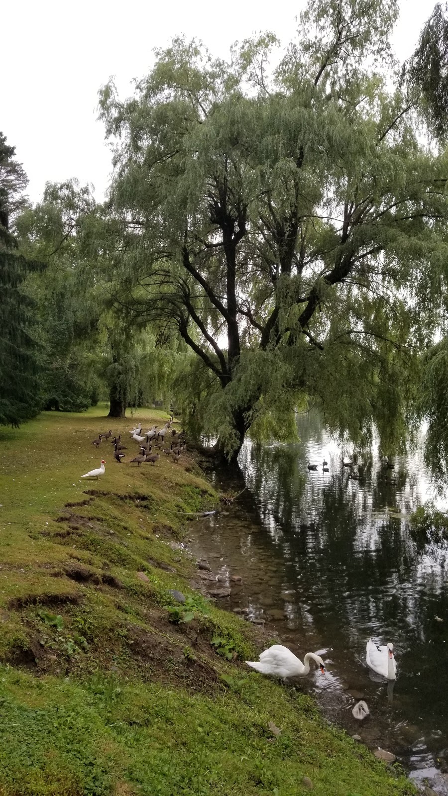 John Brouwer Landscaping | 2630 9th Concession Rd, Claremont, ON L1Y 1A2, Canada | Phone: (905) 649-5247