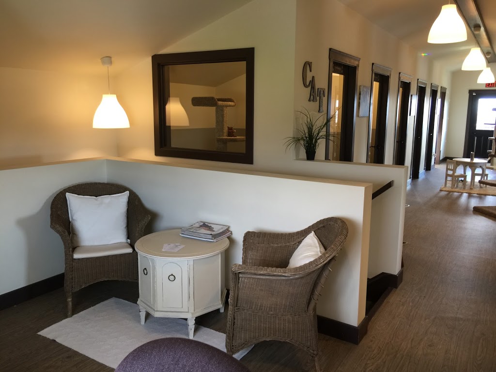 Alley Cats Country Inn | 19822 McNeil Rd, Pitt Meadows, BC V3Y 2T9, Canada | Phone: (604) 457-2287