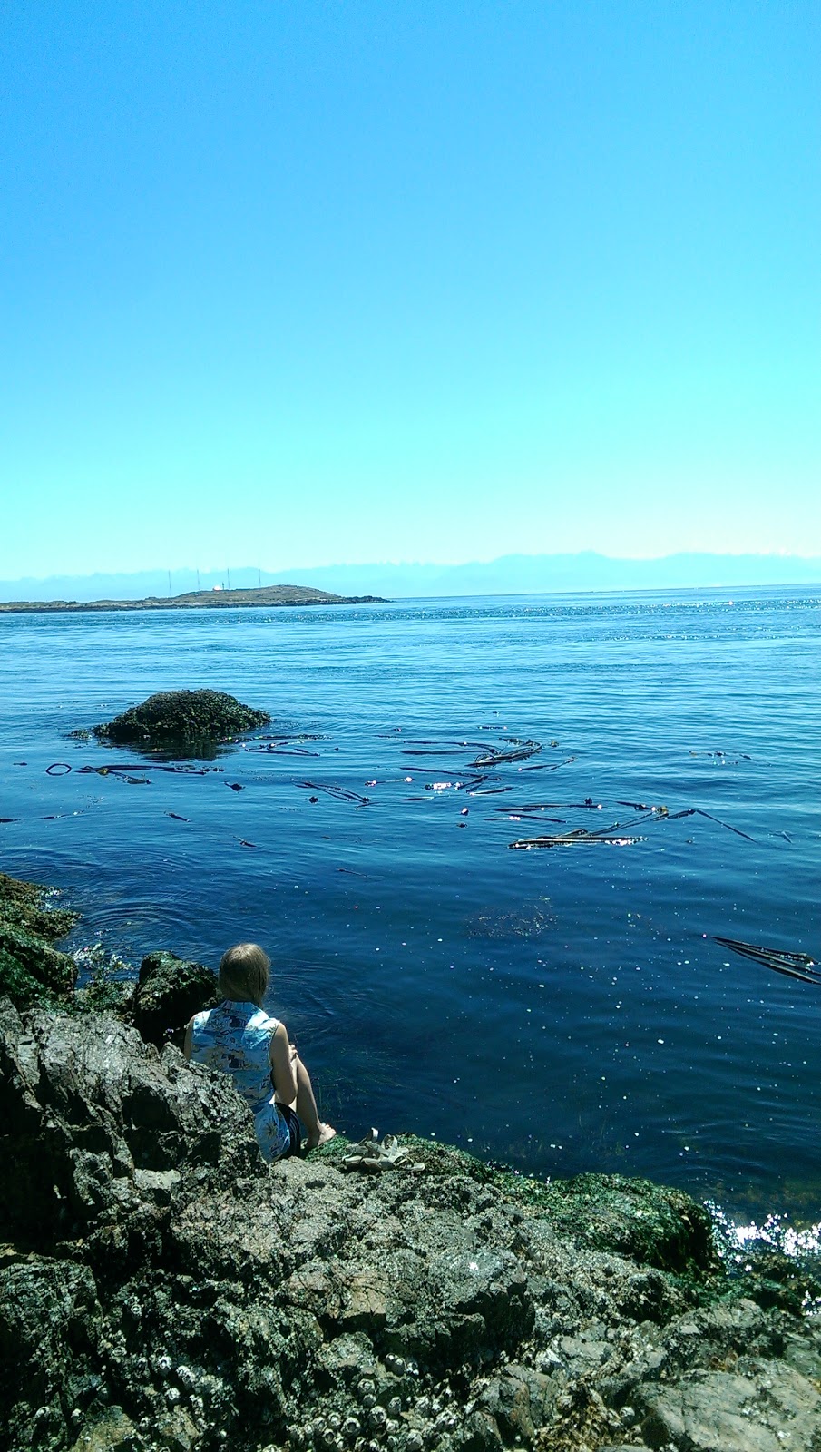 McMicking Point | 659 Radcliffe Ln, Victoria, BC V8S 5B8, Canada