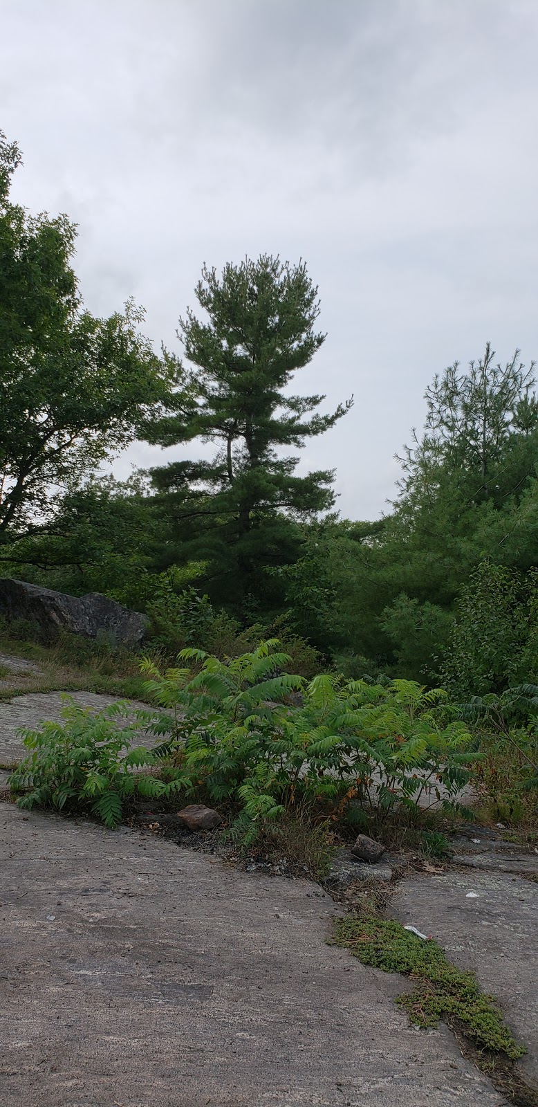 Landmark | Southwood Rd, Muskoka Lakes, ON P0C 1M0, Canada | Phone: (365) 777-4246