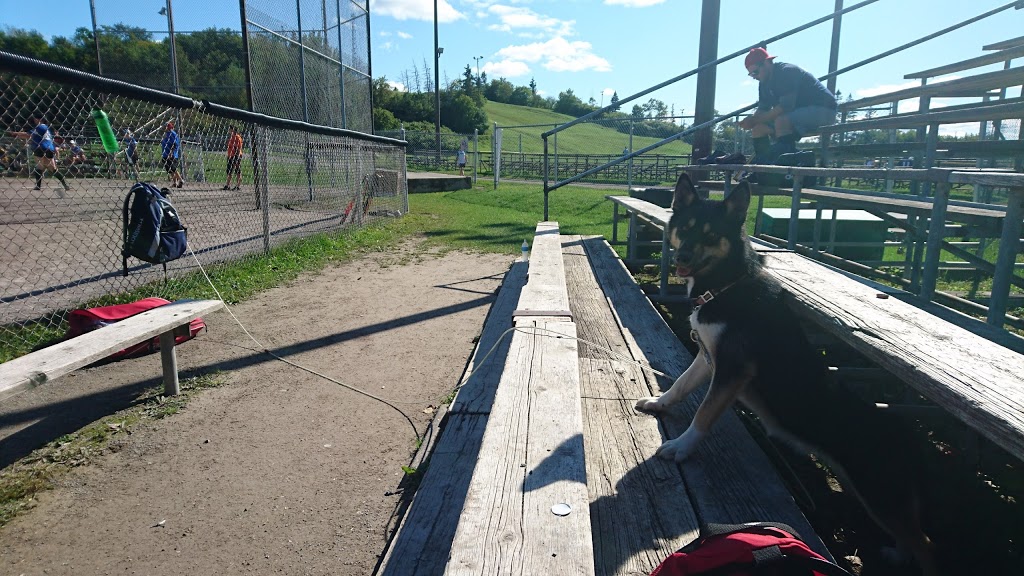 Carlington Park | 1640 Laperriere Ave, Ottawa, ON K1Z 5A6, Canada | Phone: (613) 580-2595
