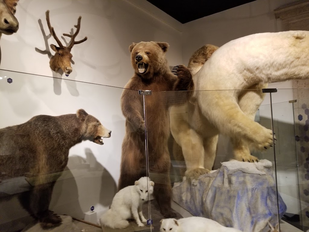 Buffalo Museum of Science | 1020 Humboldt Pkwy, Buffalo, NY 14211, USA | Phone: (716) 896-5200