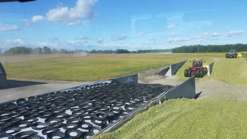 Donevelyn Farms Ltd. | 4053 Yorks Corners Rd, Metcalfe, ON K0A 2P0, Canada | Phone: (613) 227-7776