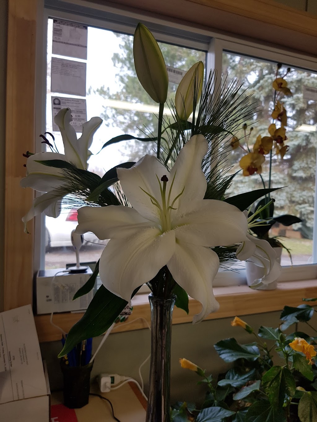 Blossoms Flower Shop | 308 Boes Rd, Brighton, ON K0K 1H0, Canada | Phone: (613) 475-9991