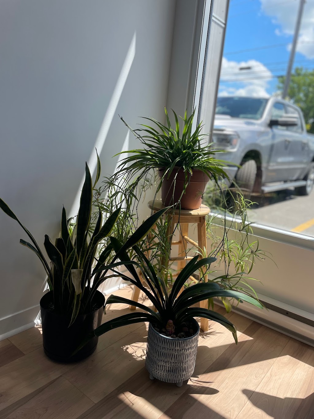 Centre de soins Camellia | 2580 Rue Saint-Pierre, Drummondville, QC J2C 7Y3, Canada | Phone: (819) 857-4464