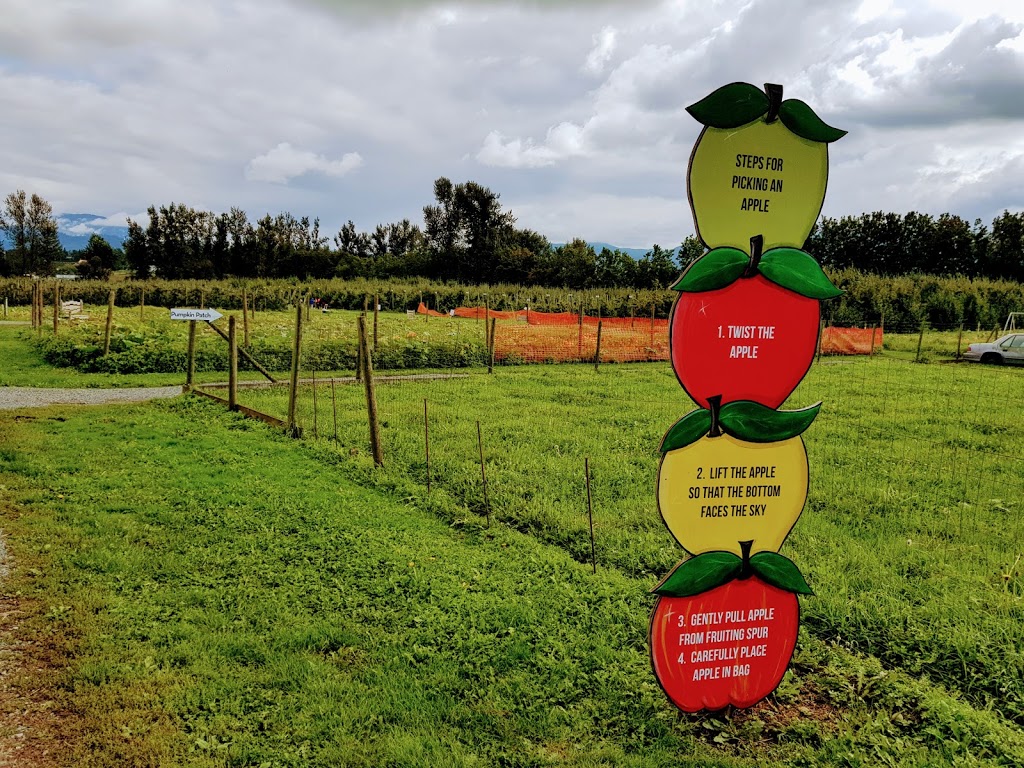 Willow View Farms | 288 McCallum Rd, Abbotsford, BC V2S 8A2, Canada | Phone: (604) 854-8710