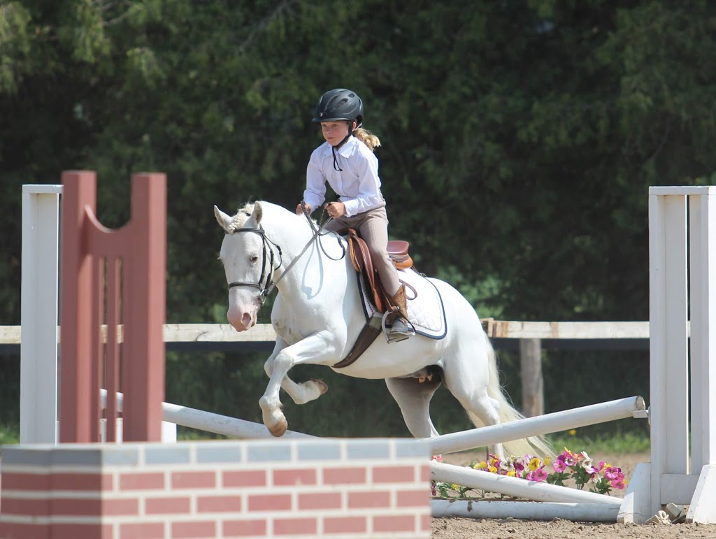 Findaway Equestrian Services Inc. | 560 Snyders Rd E, Baden, ON N3A 3L1, Canada | Phone: (519) 634-9751