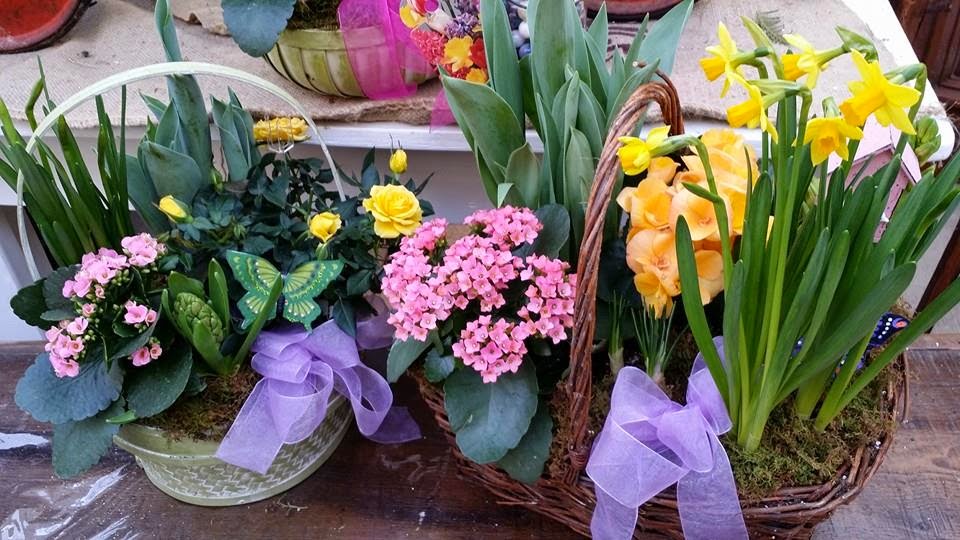 Orangeville Flowers & Greenhouses Ltd | 78 John St, Orangeville, ON L9W 2P8, Canada | Phone: (519) 941-2592