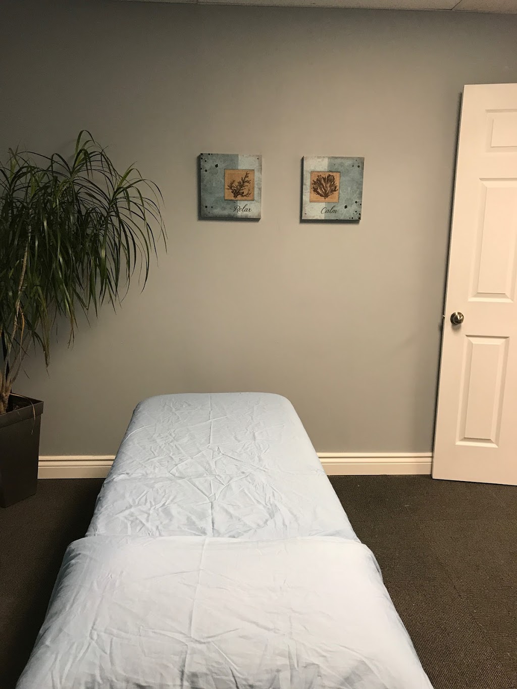 MSK Physiotherapy Hub | 348 Bronte St S #4, Milton, ON L9T 5B6, Canada | Phone: (365) 877-9777